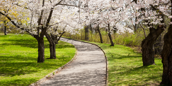 Springtime Accidents & Personal Injury Claims in Connecticut: What You Need to Know